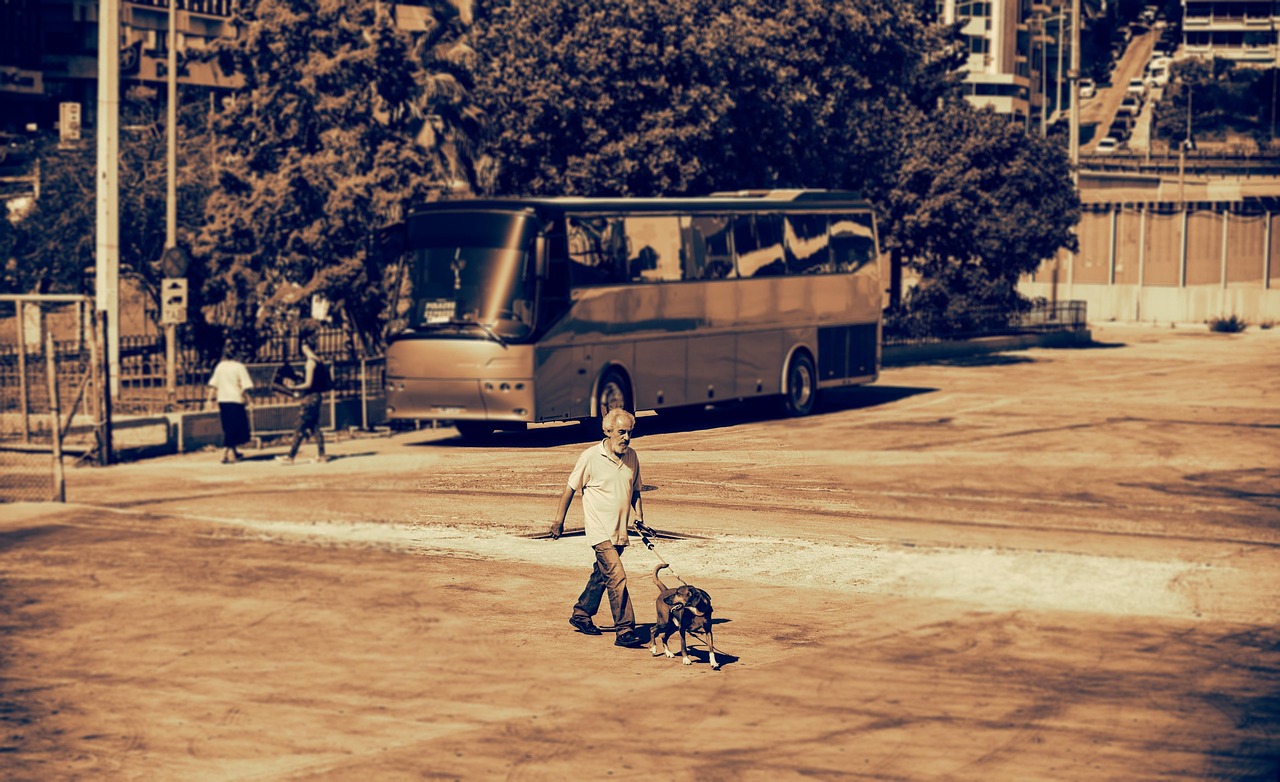 北京疫情规则,在动态调整中守护城市安全 北京疫情规则,在动态调整中守护城市安全