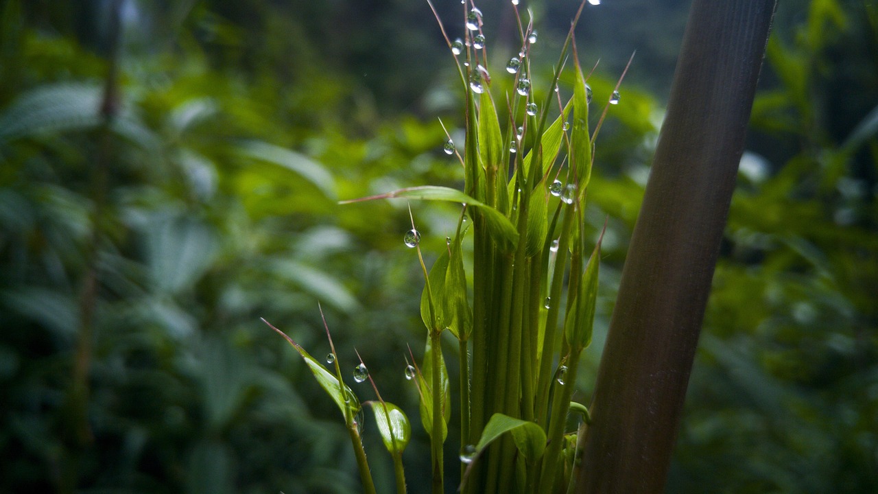 梅州疫情最新一例在哪里？防控形势与区域动态追踪